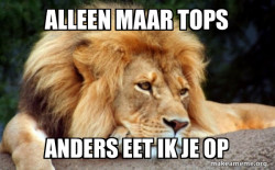 Confession Lion