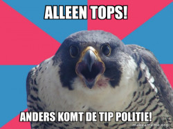 Millennial Falcon