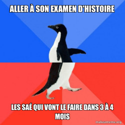 Socially Awkward Awesome Penguin