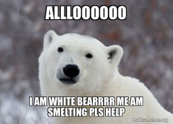 Popular Opinion Polar Bear