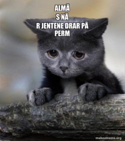 Confession Cat