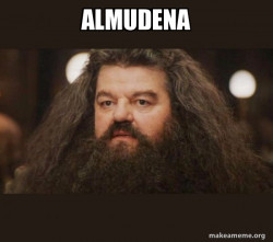 Hagrid - I should not have said that