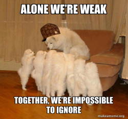 Scumbag Storytelling Dog