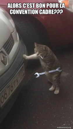 Mechanic Cat