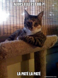 The Most Interesting Cat in the World