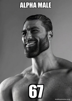 alpha