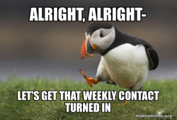 Unpopular Opinion Puffin