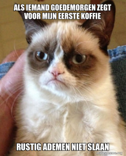 Grumpy Cat