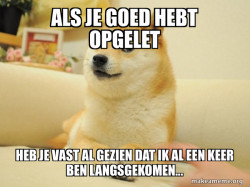 Doge