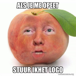 Impeached Donald Trump