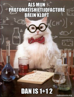 Chemistry Cat
