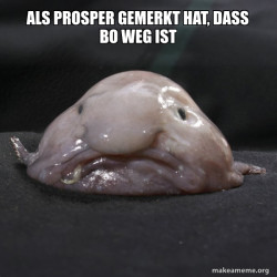 Blobfish