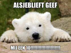 Popular Opinion Bear