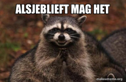 Evil Plotting Raccoon