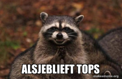 Evil Plotting Raccoon