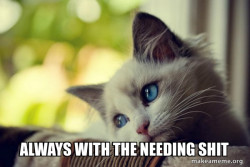 First World Cat Problems