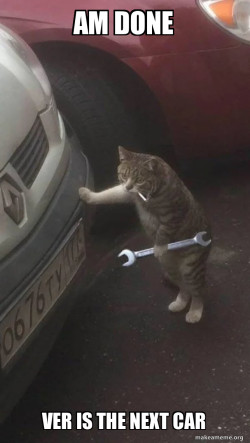 Mechanic Cat