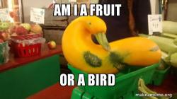 Gourd Advice Mallard