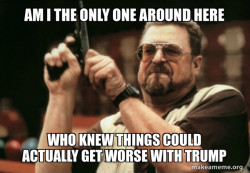 Am I the only one