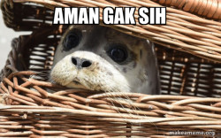 Ketika kamu lihat jule