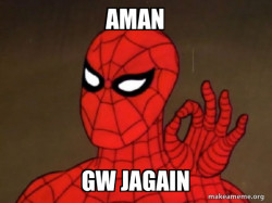 Spiderman - Care factor Zero