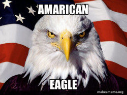 American Pride Eagle