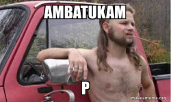 Almost Politically Correct Redneck
