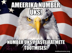 American Pride Eagle