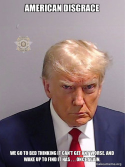 Donald Trump Mugshot