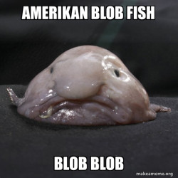 Blobfish