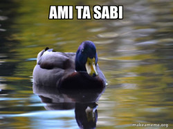 Zen Advice Mallard