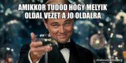 Great Gatsby Reaction - Leonardo DiCaprio Toast