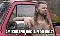 Almost Politically Correct Redneck