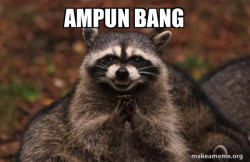 Evil Plotting Raccoon