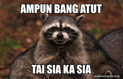 Evil Plotting Raccoon