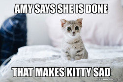 Cute Kitten