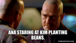 Breaking Bad