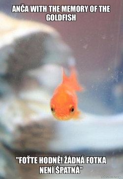 Grumpy Fish