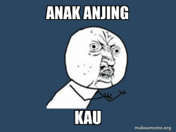 Y U No