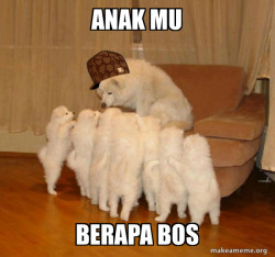 Scumbag Storytelling Dog