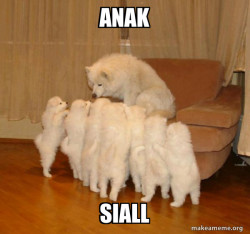 Storytelling Dog