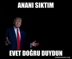 Trump Everything is FIne