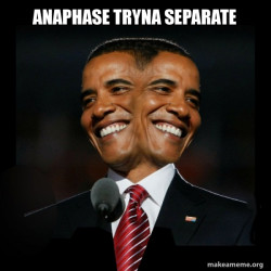 Two Faced Obama