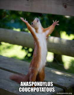 Happy Squirrel