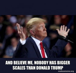 Trump Impeached