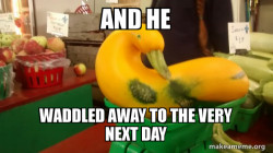 Gourd Advice Mallard