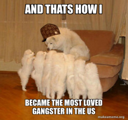 Scumbag Storytelling Dog