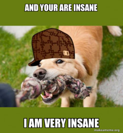 Scumbag dog