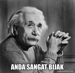 Serious Albert Einstein