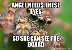 Hipster Spider